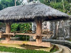 -清迈夜间动物园