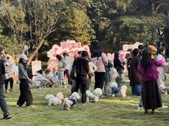 -上海神旺大酒店