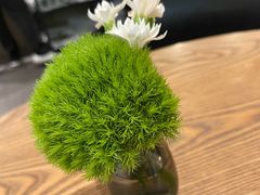 -gaga(深圳南山益田假日广场店)