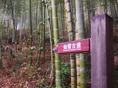 -仙霞关景区