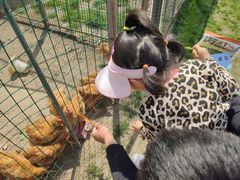 -前小桔亲子创意农场·草莓采摘·露营烧烤