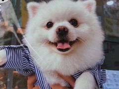 -茶百道(复地活力广场店)