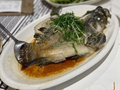 清蒸青斑-强记海鲜·大排档(蛇口新街店)