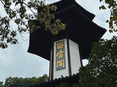 -上海佘山国家森林公园天马山园