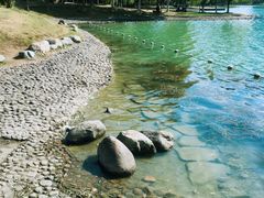 -天鹅湖体育公园
