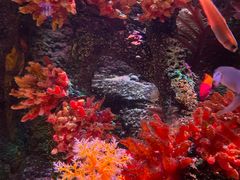 -沈阳海洋探索中心