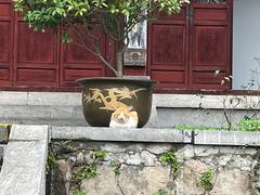 -采石矶景区