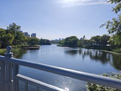 -新江湾城公园