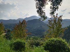 -大余丫山旅游度假区