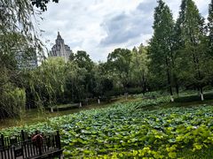 -桐乡植物园