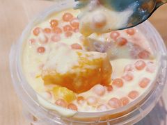 -溪边姑娘·拉丝酸奶水果捞(春熙路店)
