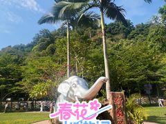 -野象谷景区