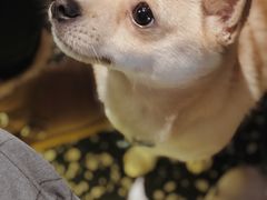 -Moka Bros 摩卡站(嘉华店)