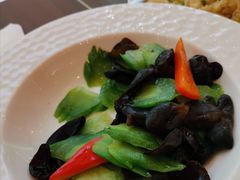 -花园5號餐厅