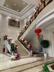 -禾丽康美医疗美容医院