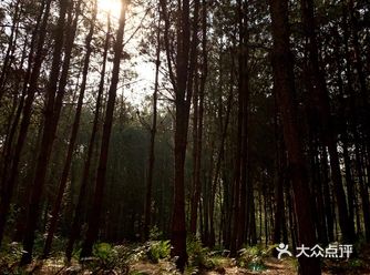 九十年代空中怪车事件发生地原来是拍照圣地