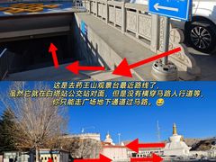 -布达拉宫