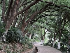 -太子山公园(园东路)