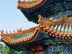 -曹州牡丹园