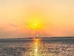 -南汇新城海滩