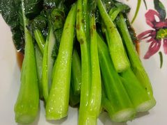 白灼广东菜心-粤食堂(天津和悦汇店)