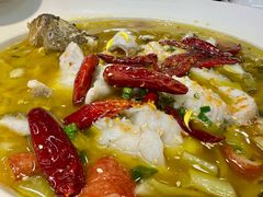 -渔意楼·驰名沙田乳鸽(五羊店)