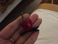 -九华山友谊土菜馆 小资餐厅