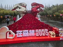 -黄海国家森林公园