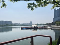 -金沙湖公园