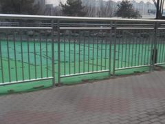 -黄村公园