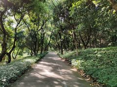 -燕晗山郊野公园