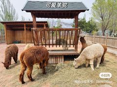 -大青山野生动物园