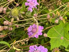 -白草畔自然风景区