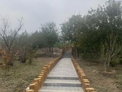 -白水寺森林公园