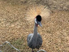 -沈阳森林动物园