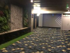 -CMC大光明影城(莲花店)