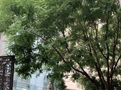 -太原茂业天地购物中心