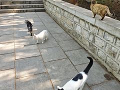 -四门塔风景区