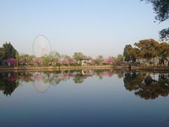 -无锡蠡湖国家湿地公园-蠡园