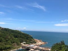 -广东惠东海龟国家级自然保护区
