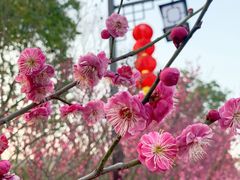 -石塘人家