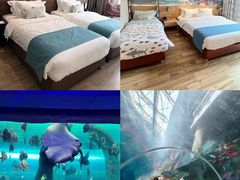 -哈尔滨波塞冬海底世界