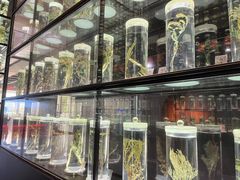 -广东中医药博物馆