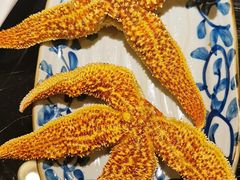 -真剑日本料理·铁板烧(贵州路店)