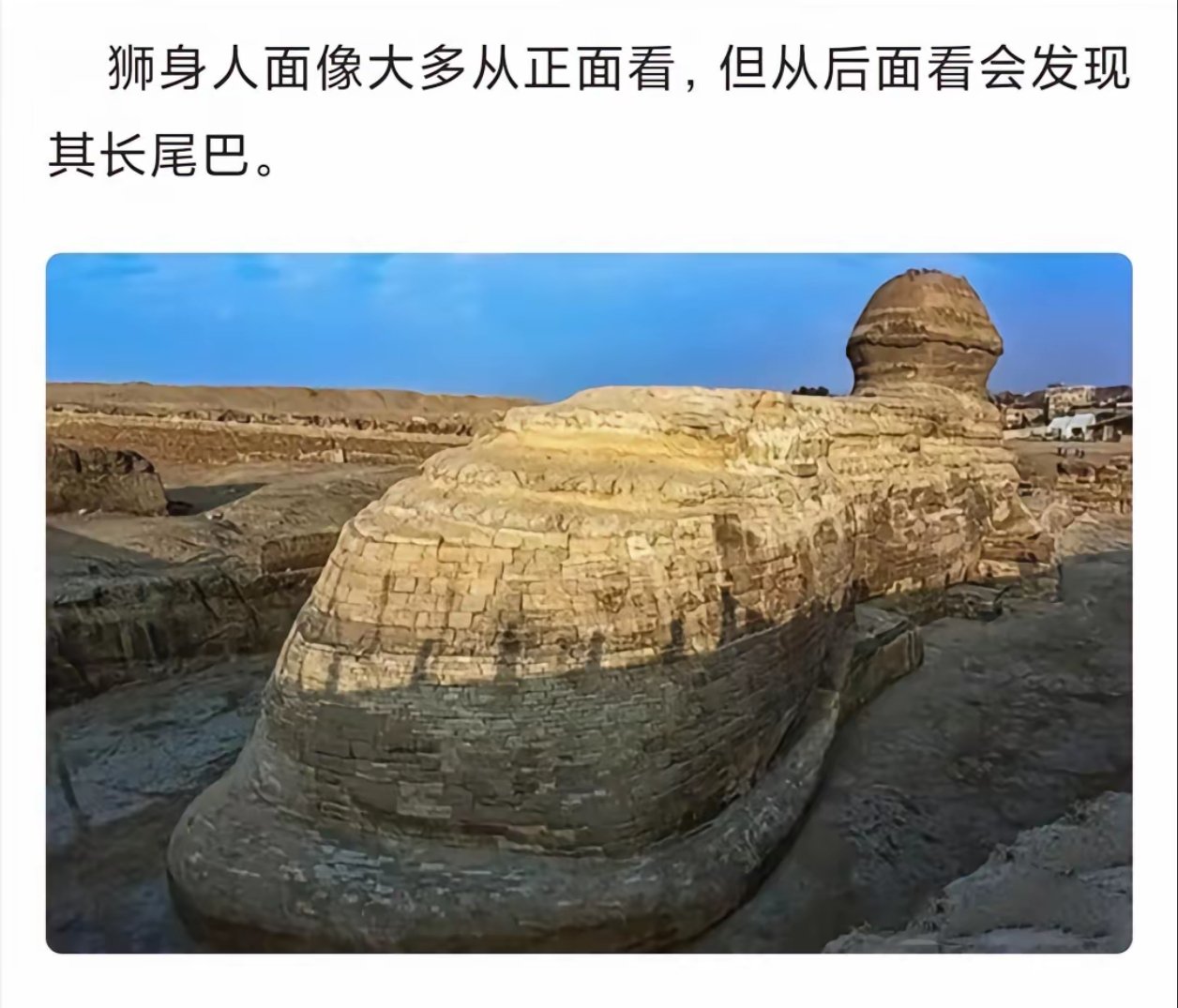 狮身人面像有尾巴吗图片