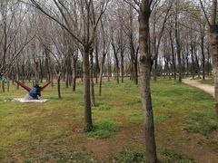 -洨河生态公园