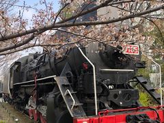 -新天地活力PARK