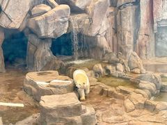 -西安曲江海洋极地公园