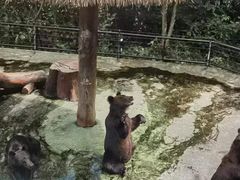 -深圳野生动物园