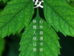 -香雪海饭店中餐厅(人民桥店)